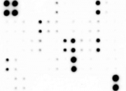 RTK 磷酸化抗體矩陣 ｜ Human RTK Phosphorylation Array (71 targets) (SARB0064)